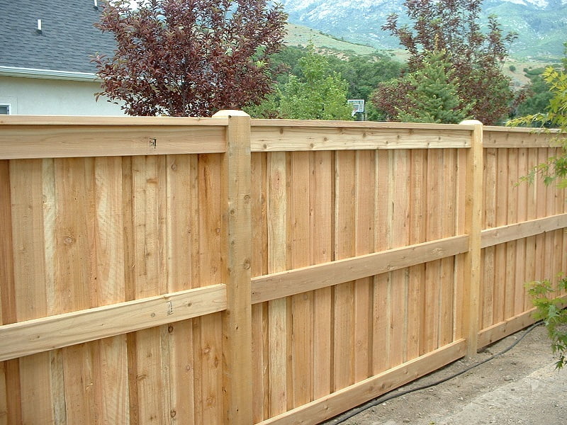 Fence Pressure Washing